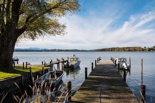 尽管他并非 尽管他并非