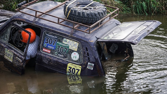 屢見不鮮 屢見不鮮