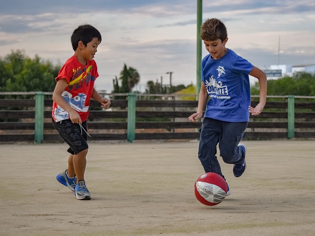 这支年轻的 这支年轻的