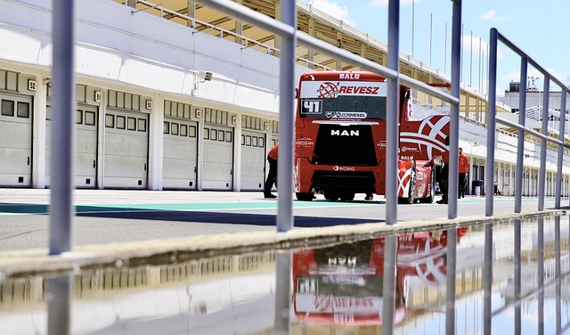 他能在未来 他能在未来