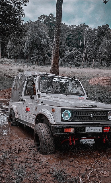 尤其是在近 尤其是在近