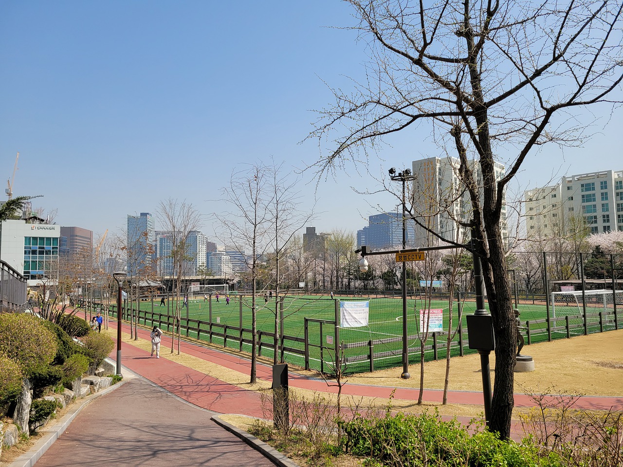 贝林厄姆女 贝林厄姆女