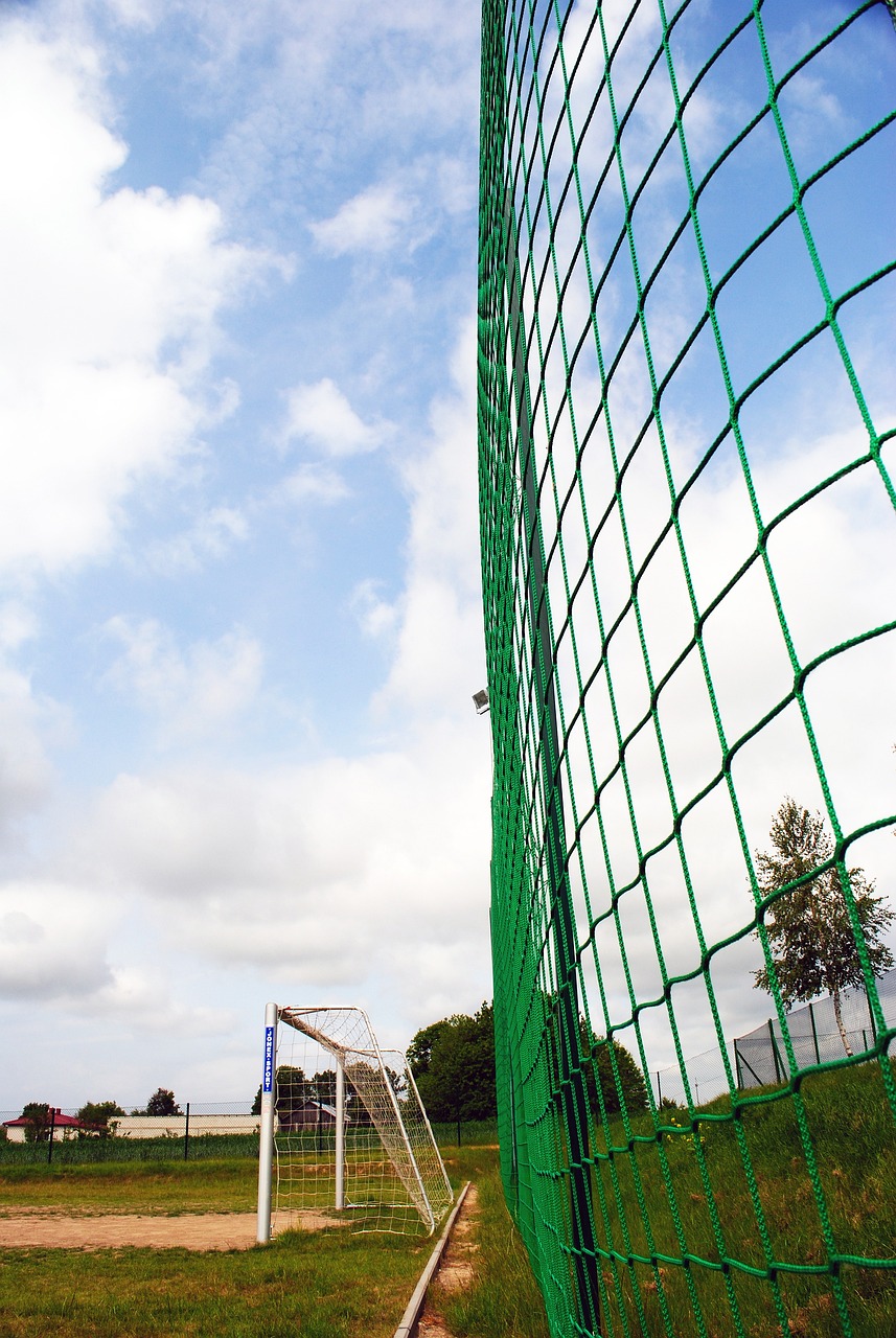 从而提升整 从而提升整