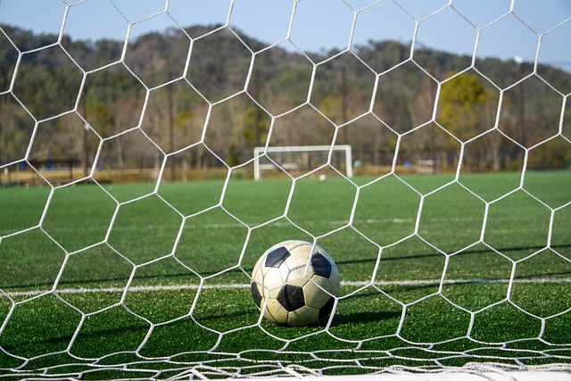 于训练的极 于训练的极