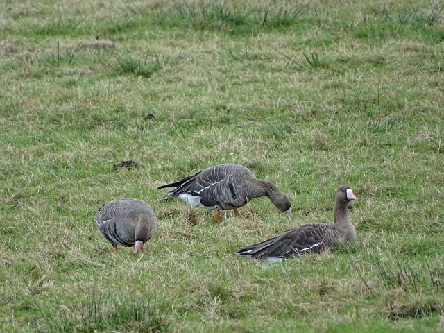 迷们众多期 迷们众多期