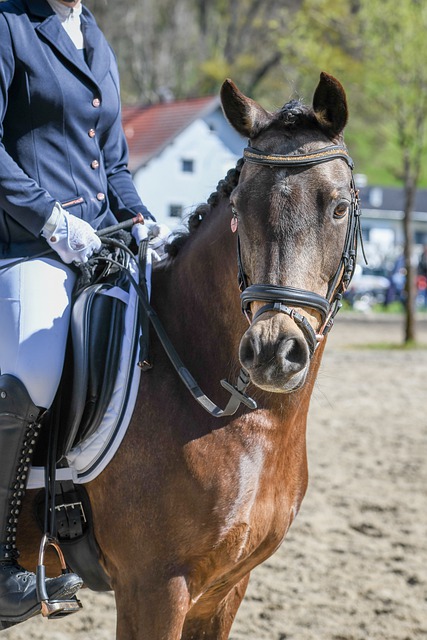 成为英格兰 成为英格兰