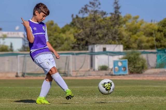 競技水平 競技水平