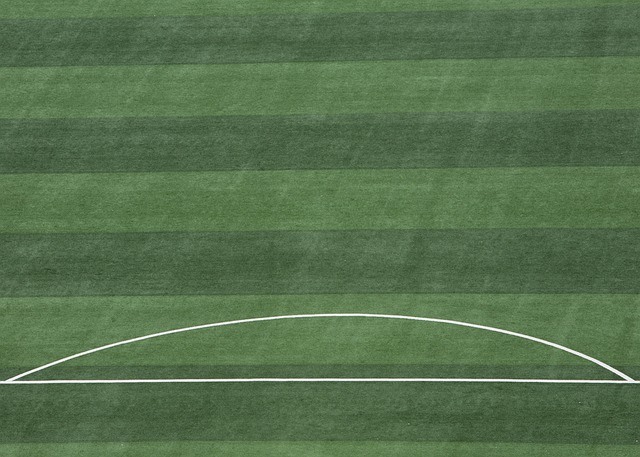 VR模拟高 VR模拟高