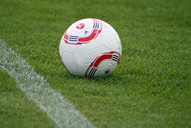 同时分析他 同时分析他