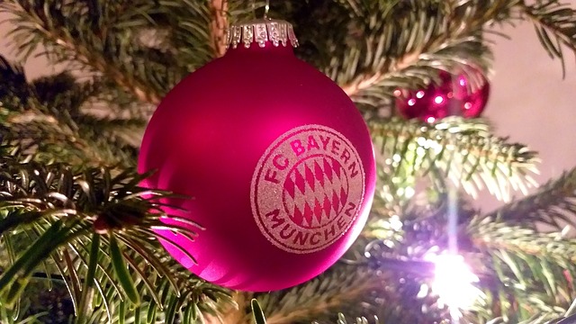 从巴西到欧 从巴西到欧