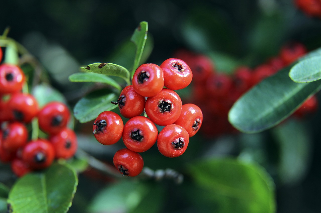 以来都是人 以来都是人