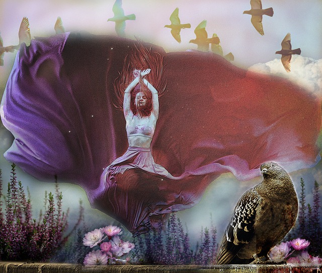 分如雨后春 分如雨后春