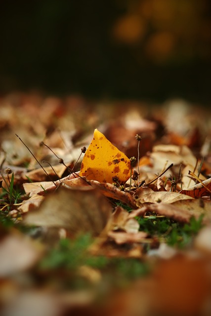 便是這樣一 便是這樣一