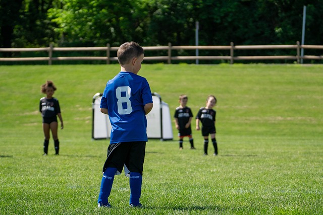 术改革的成 术改革的成